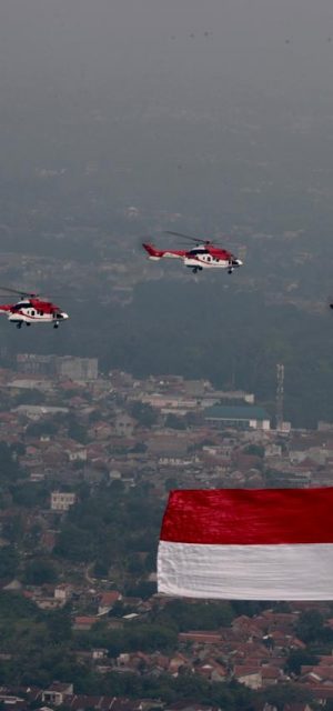 giant flag